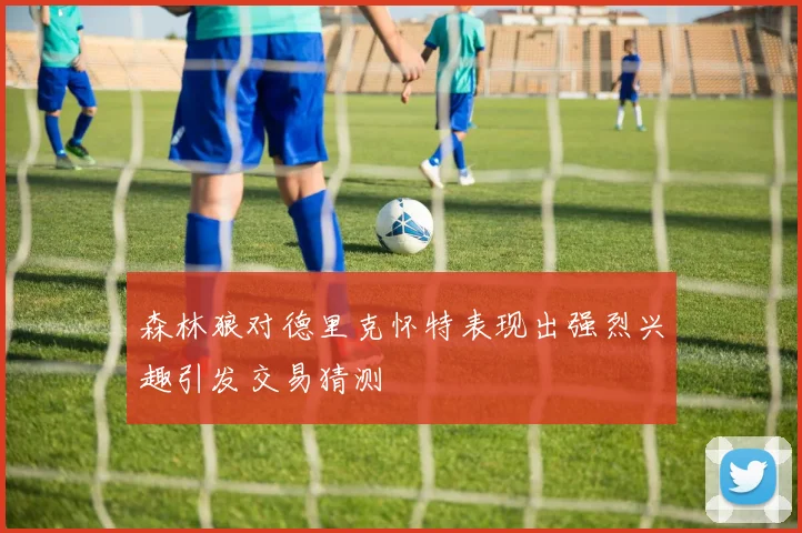 森林狼对德里克怀特表现出强烈兴趣引发交易猜测
