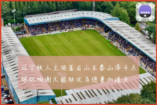 辽宁铁人主场落后山东泰山泽卡点球双响谢文能助攻马德鲁加造点
